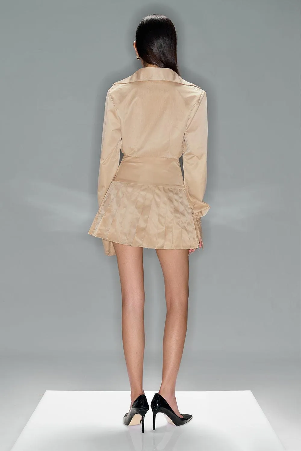 Chloe Drop Waist Pleated Taffeta Mini Dress